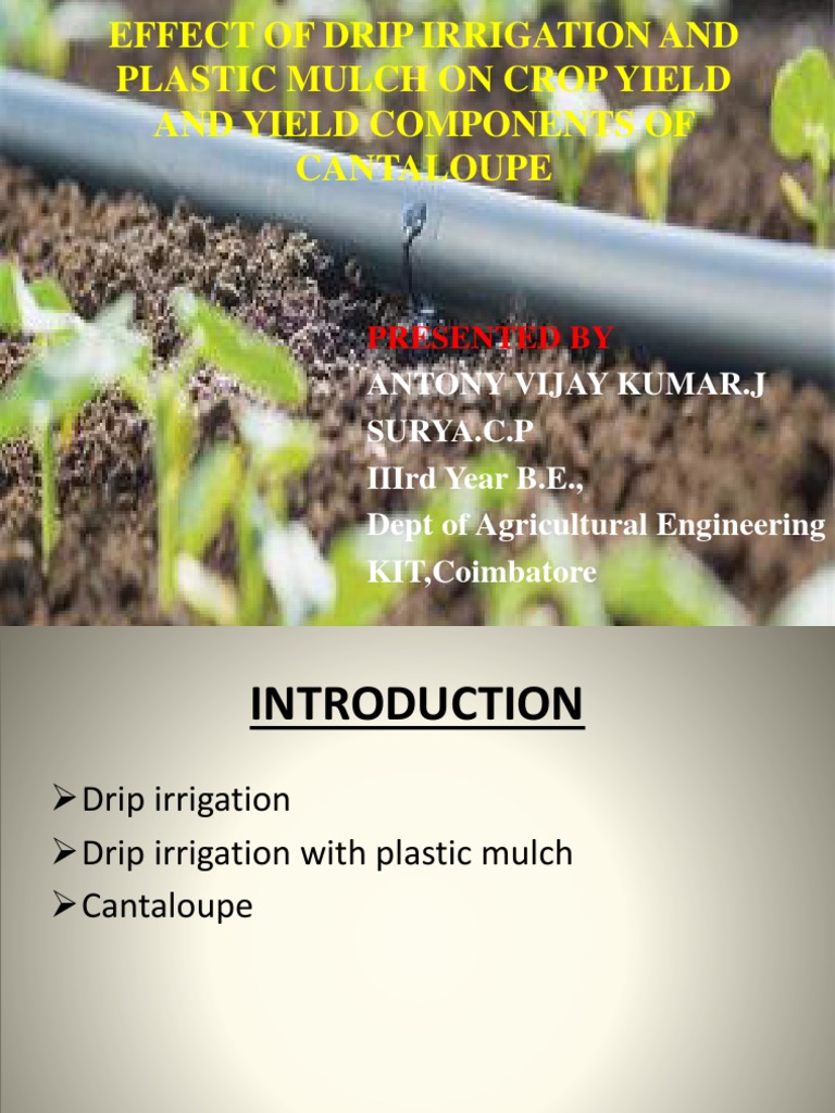 Effect of Drip Irrigation and Plastic Mulch On Crop Yield and Yield ...