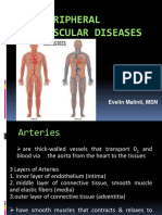 6th. Peripheral Vascular Disease