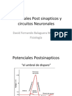 Potenciales Post Sinapticos Y Circuitos Neuronales: David Fernando Balaguera MV, MSC Fisiología