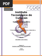 Download proyecto T de hoja de guamuchil by maro SN42862660 doc pdf