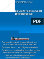 Microbiology: Pathogenic Gram-Positive Cocci (Streptococcus)