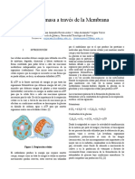 Informe 2 Bioquímica PDF
