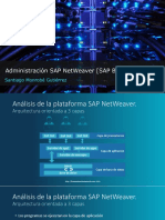 An Lisis de La Plataforma SAP NetWeaver
