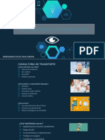 Consultoria de Transporte y Logistica