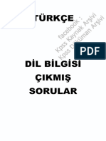 Son 23 Yılın Çıkmış Dilbilgisi Soru Ve Çözümleri PDF