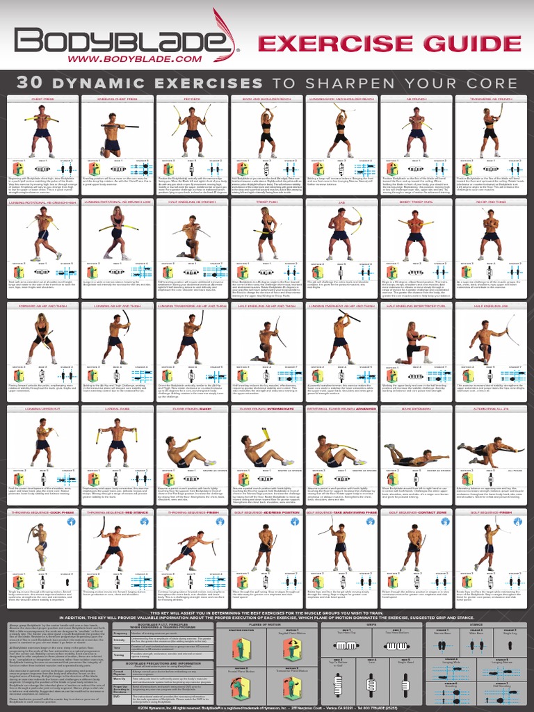 Bodyblade Exercise Guide Wallchart PDF Shoulder Pelvis