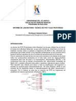 369066290-Informe-LAB-Molecular-PCR.pdf