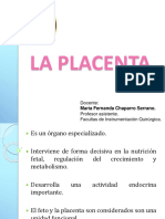 placenta.ppt