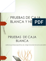 pruebasdecajablancaynegra-121019200202-phpapp01.pdf