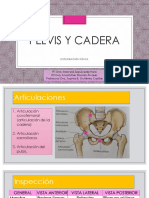 Cadera Presentación