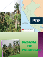 Sabana de Palmeras