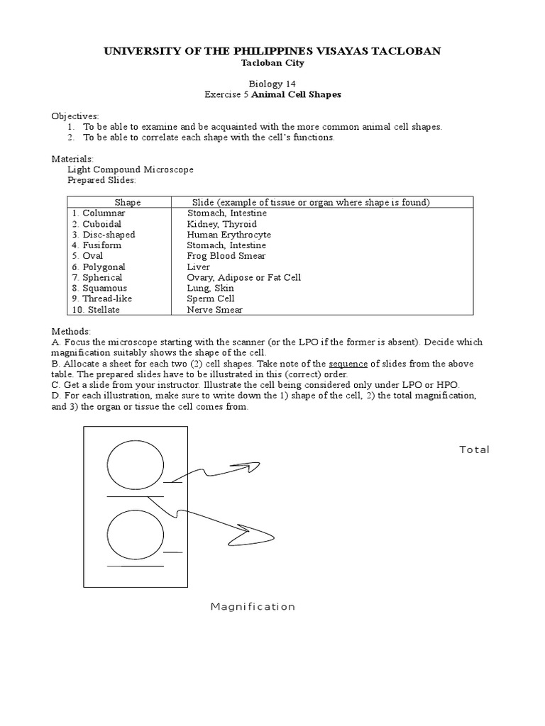 University of The Philippines Visayas Tacloban | PDF