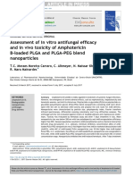 Assessment of in Vitro Antifungal Efficacy and in Vivo Toxicity of Amphotericin B-Loaded Plga and Plga-Peg Blend Nanoparticles