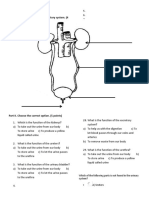 Science Exam Part I. Write The Parts of The Excretory System. (4 Points)