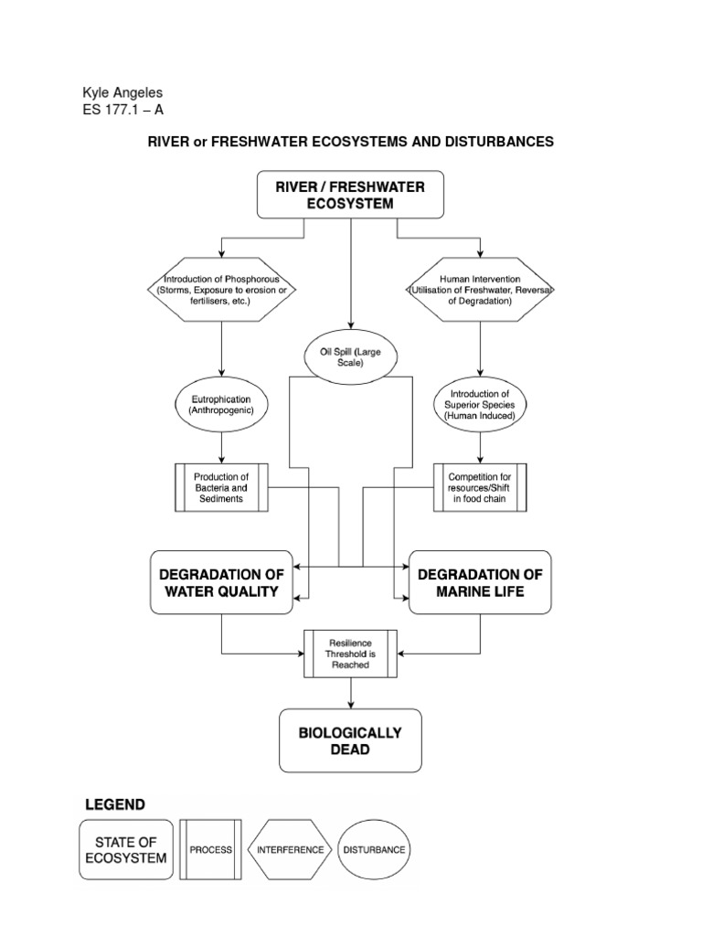 River Ecosystem Disturbances Explained | PDF