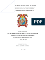 Interrupcion Del Embarazo en Casos de Violacion Sexual en El Peru