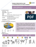 ficha -frijol.pdf