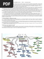 240919 7º Ano 4º Bimestre a Economia Colonial e o Tráfico Negreiro