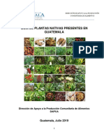 Guia de Plantas Nativas Dapca 2019