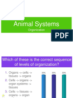 Animal Systems: Organization