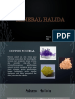 MINERAL HALIDA