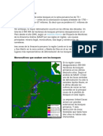 resumen deforestacion gestion