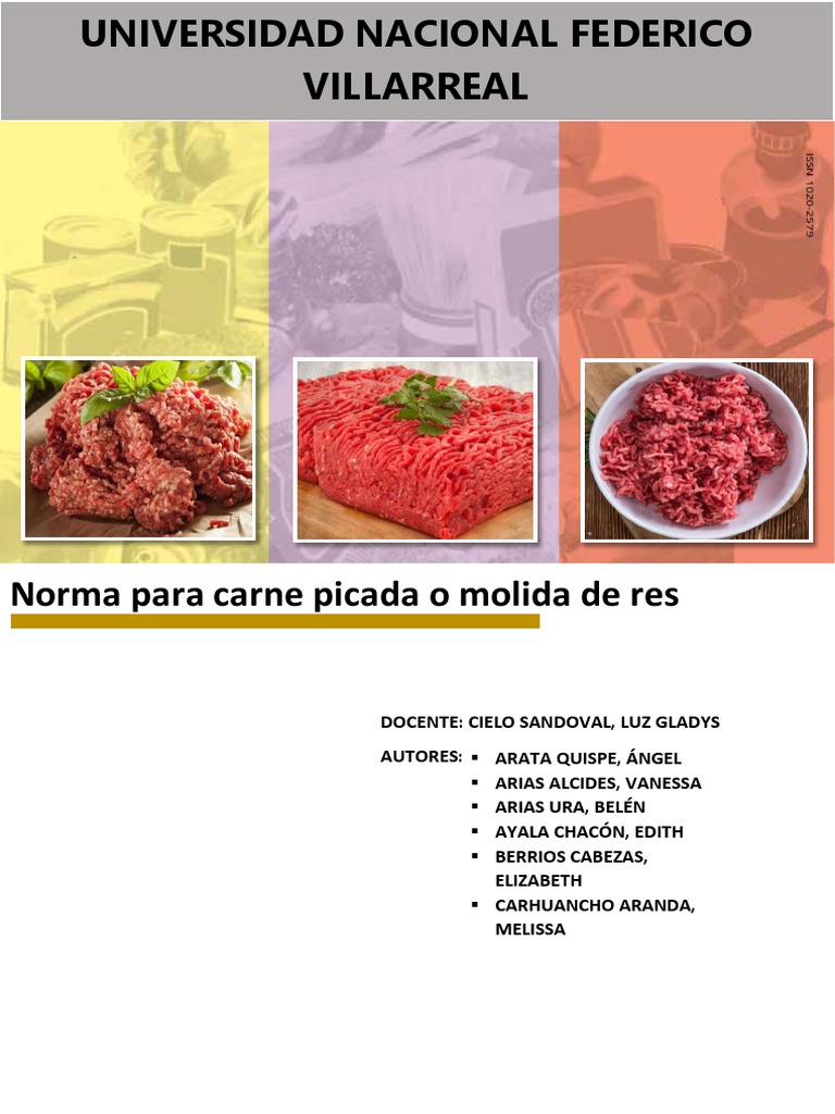 norma-t-cnica-para-carne-picada-de-res-pdf-carne-molida-carne