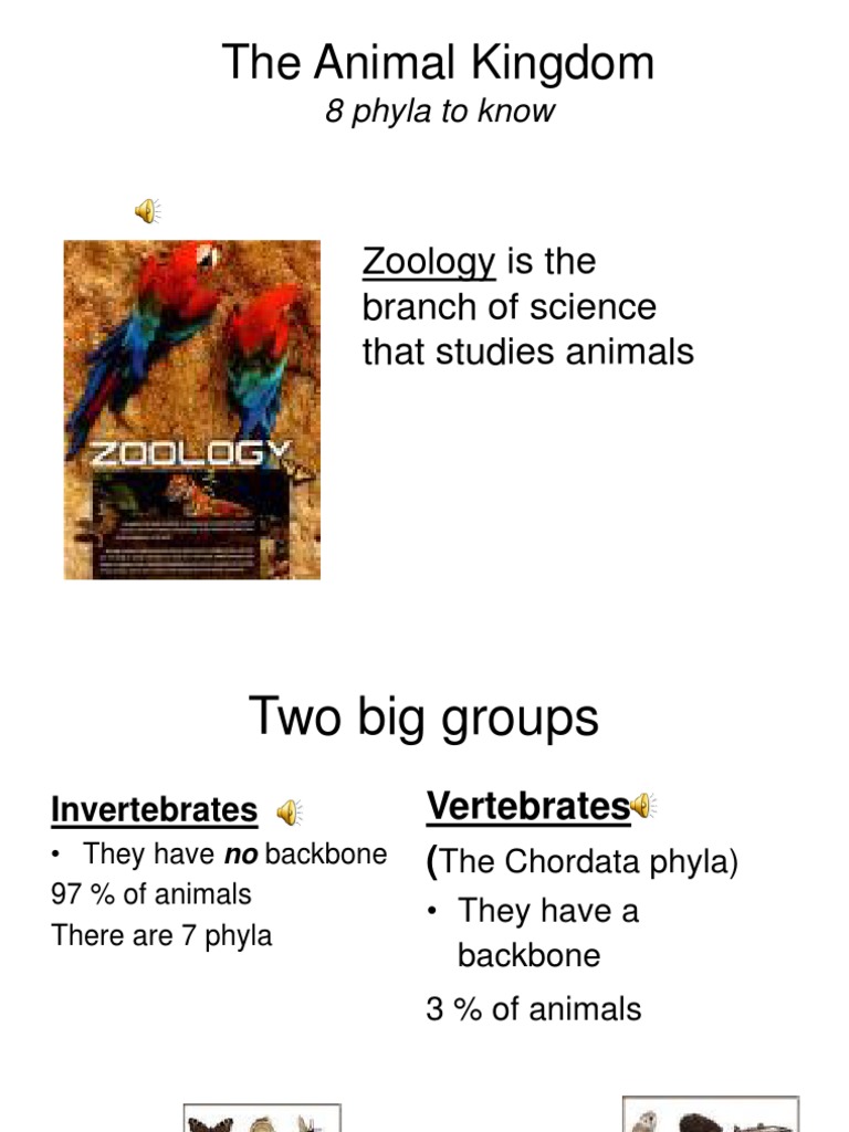 The Animal Kingdom Zoology Is The Branch of Science That Studies