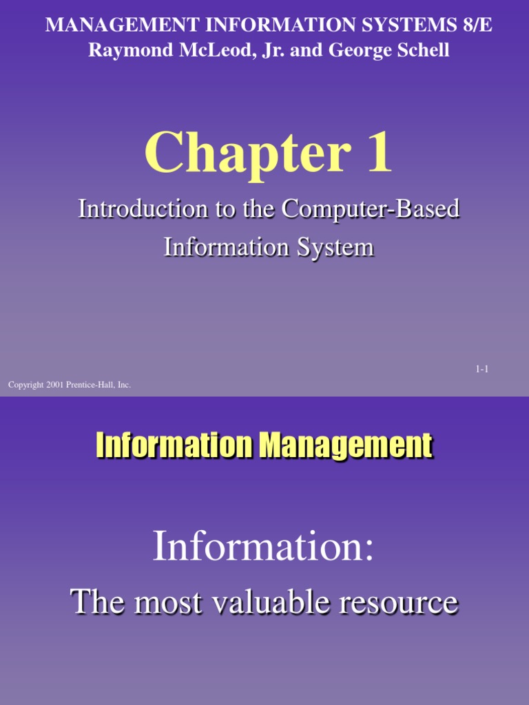 Introduction To The ComputerBased Information System PDF System