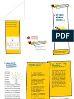 Folleto Evaluación Formativa