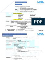 Procedimientos Constitucionales Ante El Tribunal Constitucional