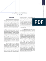 SDH_technology.pdf