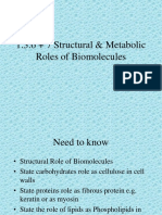 1.3.6 - 7 Biomolecules