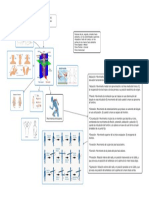 Anatomía - Ergonomía.pdf