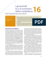 Perspectiva general del metabolismo y el suministro de combustibles metabólicos