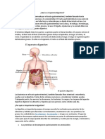 El Aparato Digestivo