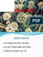 Vi nấm part 1