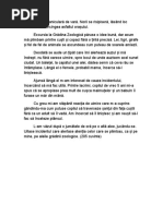 Compunere Vacanta de Vara | PDF