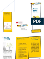 Evaluacion Formativa