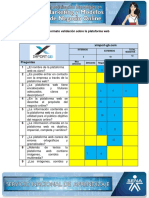 Formato Validacion Plataforma Web