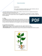 Guía de Plantas 1