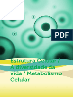 Estrutura Celular Diversidade Da Vida Metabolismo Celular