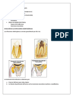 Cirugia Infecciones Odontogénicas