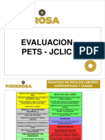 Pets para Examen PDF