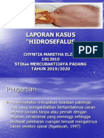 Laporan Kasus "Hidrosefalus: Chyntia Maretha Elzen 1913910 Stikes Mercubaktijaya Padang TAHUN 2019/2020