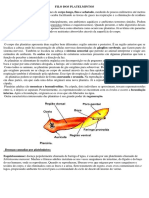 FILO DOS PLATELMINTOS E NEMATELMINTOS 7 ANO.pdf