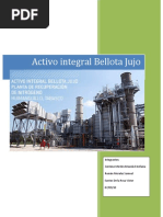 Download Activo Bellota Jujo FINAL by Jar Roman SN42879310 doc pdf