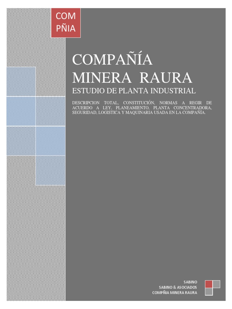 Compania Minera RAURA Terminado | PDF | Minería | Entorno natural