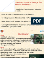 Identification, Symptoms and Nature of Damage: Fruit Borer and Spodoptera