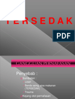 Terse Dak